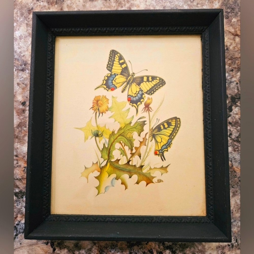 Vtg Swallowtail Butterfly & Dandelion Lithograph Art Print in Black Frame